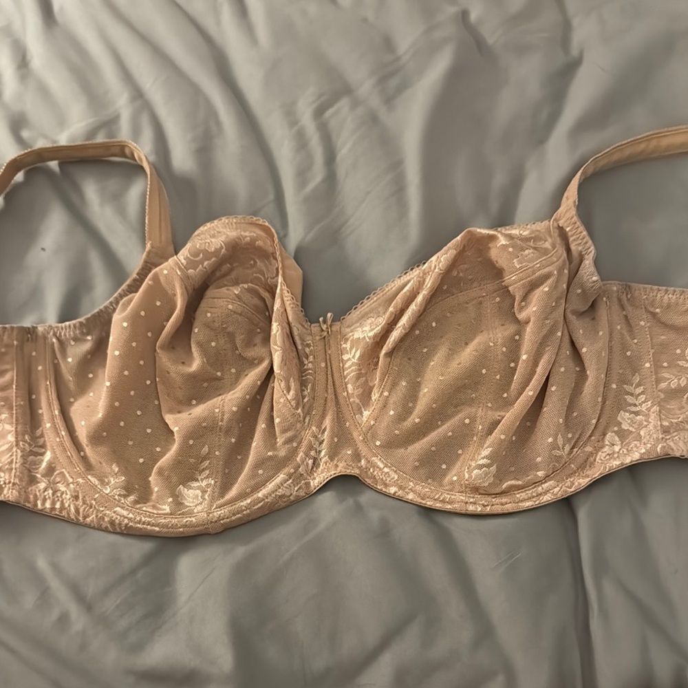Panache 32J  Tan Lace Bra